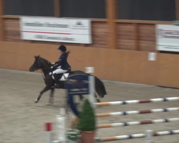 Reitturnier Xanten 2019