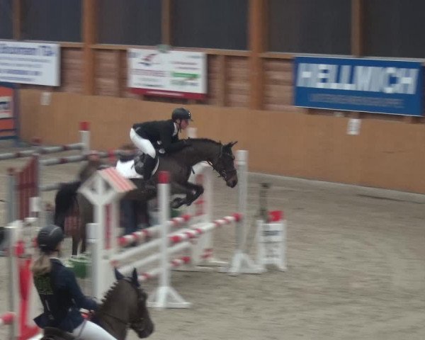 Reitturnier Xanten 2019
