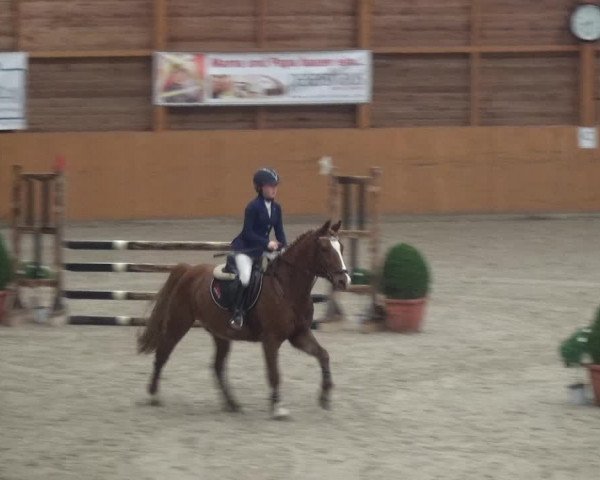 Reitturnier Xanten 2019