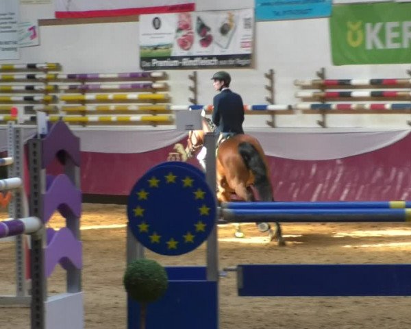 Reitturnier Eicherloh RH Laurent/Obb. 2019