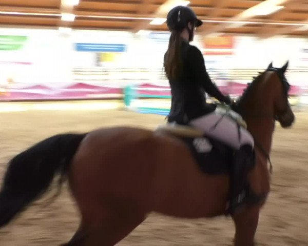 Reitturnier Eicherloh RH Laurent/Obb. 2019