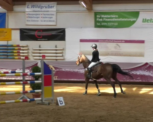 Reitturnier Eicherloh RH Laurent/Obb. 2019