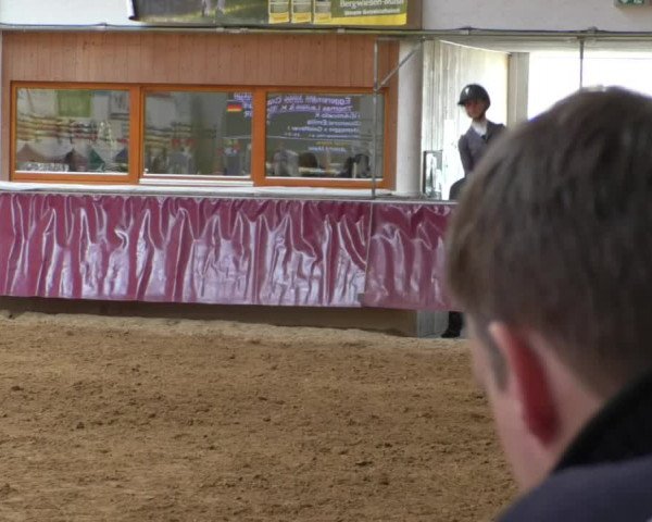 Reitturnier Eicherloh RH Laurent/Obb. 2019