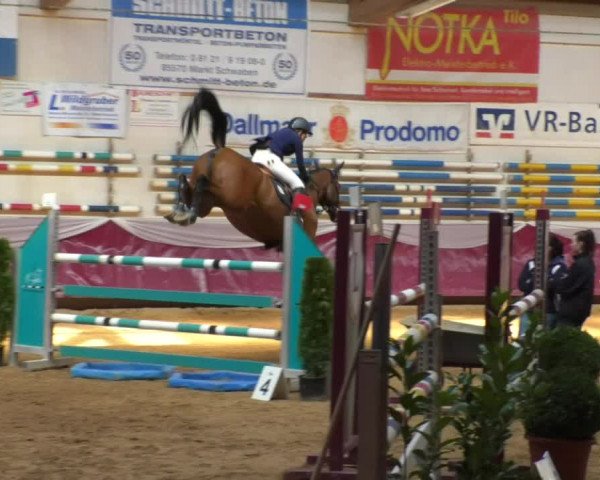 Reitturnier Eicherloh RH Laurent/Obb. 2019