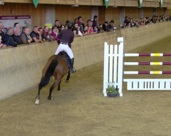 Reitturnier Friedrichshafen - Ailingen 2019