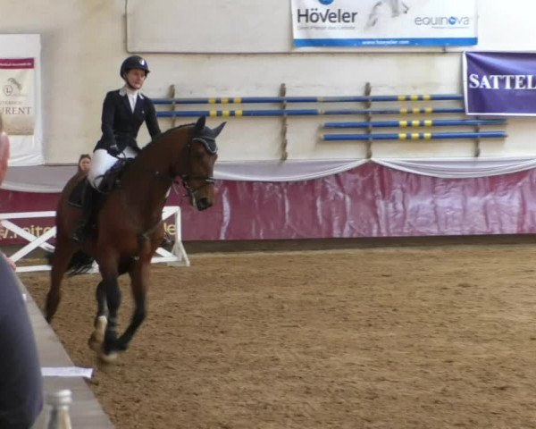 Reitturnier Eicherloh RH Laurent/Obb. 2019