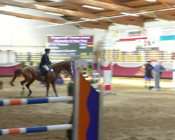 Reitturnier Eicherloh RH Laurent/Obb. 2019
