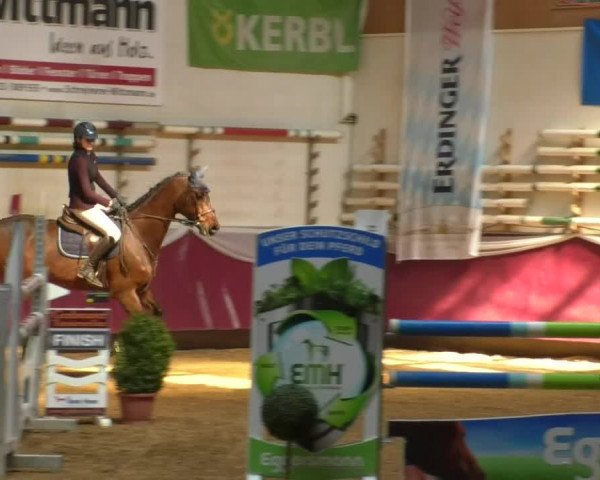 Reitturnier Eicherloh RH Laurent/Obb. 2019