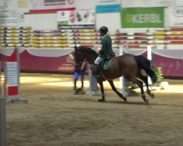 Reitturnier Eicherloh RH Laurent/Obb. 2019