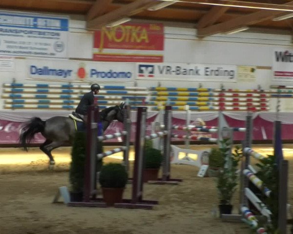 Reitturnier Eicherloh RH Laurent/Obb. 2019