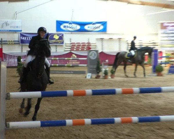Reitturnier Eicherloh RH Laurent/Obb. 2019