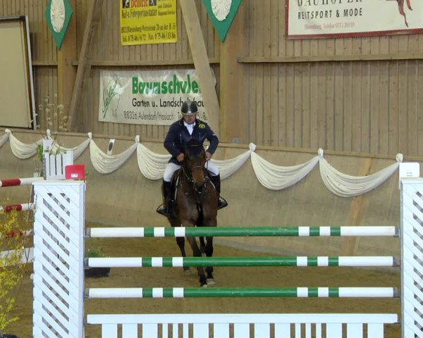 Reitturnier Friedrichshafen - Ailingen 2019