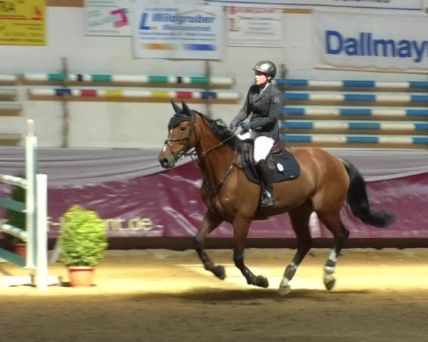 Reitturnier Eicherloh RH Laurent/Obb. 2019