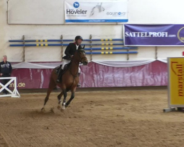 Reitturnier Eicherloh RH Laurent/Obb. 2019