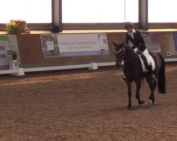 Reitturnier Damp-Dorotheental 2019
