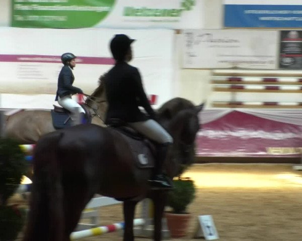 Reitturnier Eicherloh RH Laurent/Obb. 2019