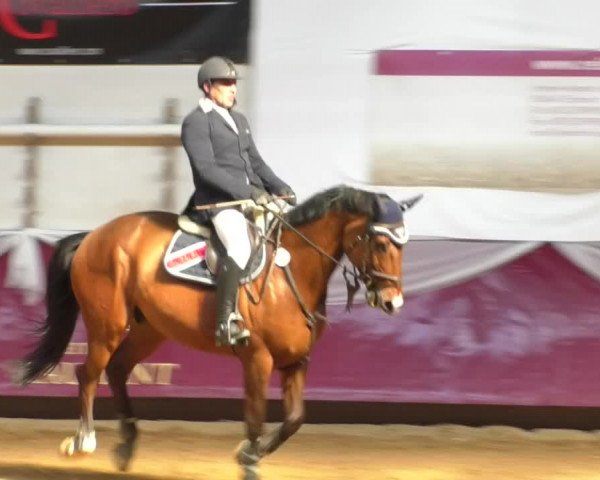 Reitturnier Eicherloh RH Laurent/Obb. 2019