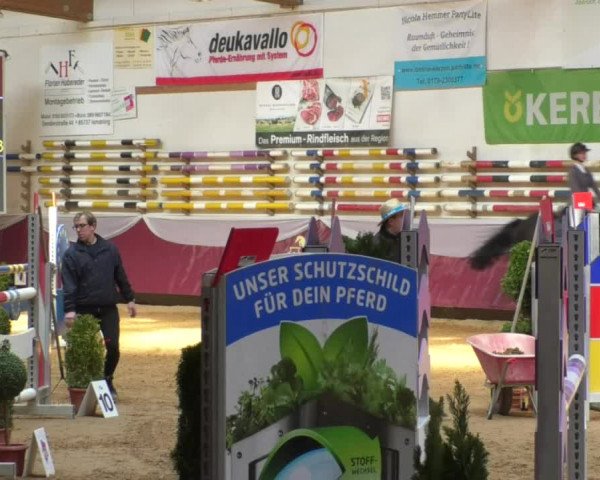 Reitturnier Eicherloh RH Laurent/Obb. 2019