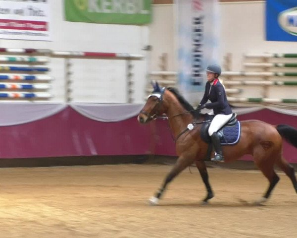 Reitturnier Eicherloh RH Laurent/Obb. 2019