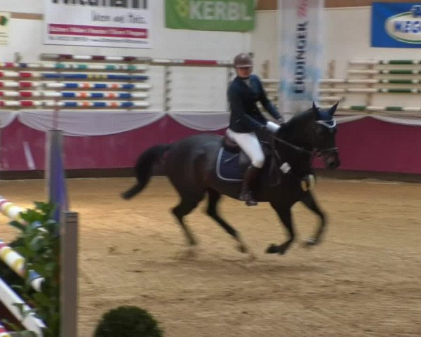 Reitturnier Eicherloh RH Laurent/Obb. 2019