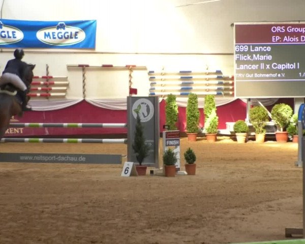 Reitturnier Eicherloh RH Laurent/Obb. 2019