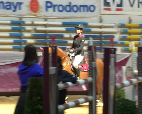 Reitturnier Eicherloh RH Laurent/Obb. 2019