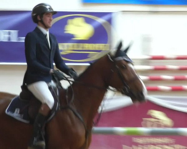 Reitturnier Eicherloh RH Laurent/Obb. 2019