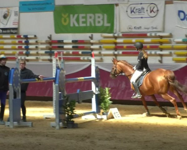 Reitturnier Eicherloh RH Laurent/Obb. 2019