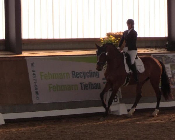 Reitturnier Damp-Dorotheental 2019