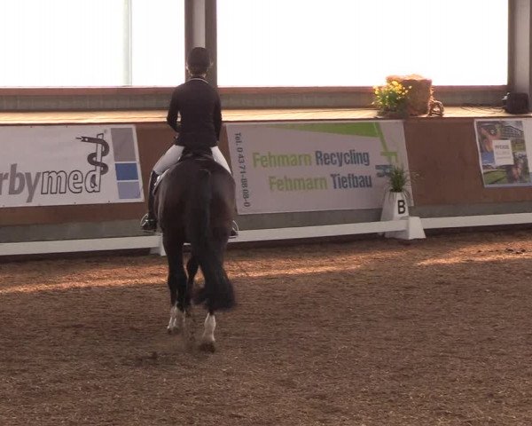 Reitturnier Damp-Dorotheental 2019