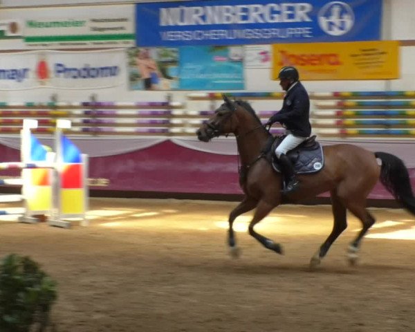 Reitturnier Eicherloh RH Laurent/Obb. 2019