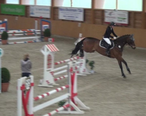 Reitturnier Xanten 2019