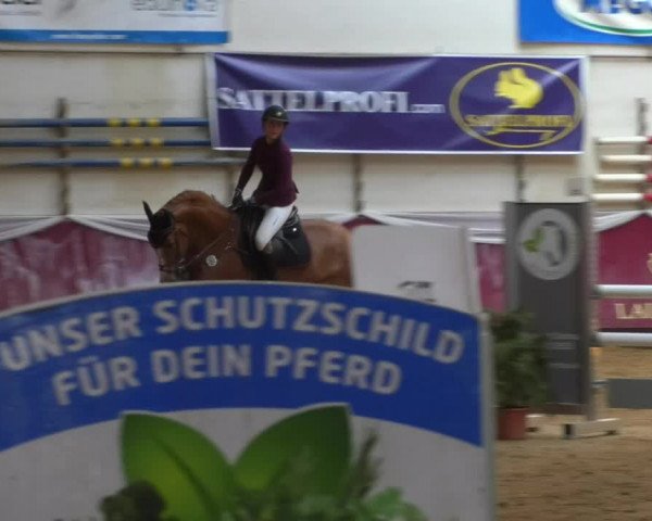 Reitturnier Eicherloh RH Laurent/Obb. 2019