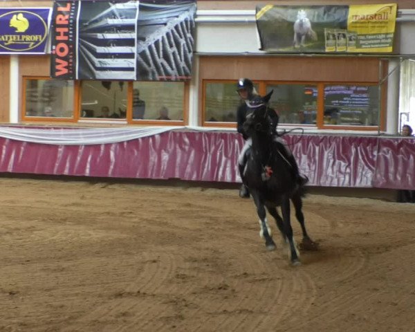 Reitturnier Eicherloh RH Laurent/Obb. 2019