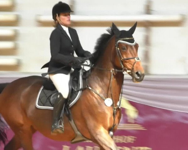 Reitturnier Eicherloh RH Laurent/Obb. 2019