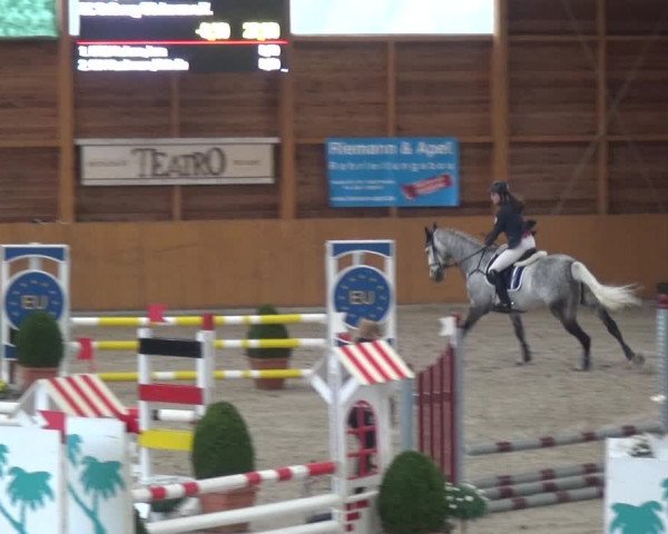 Reitturnier Xanten 2019