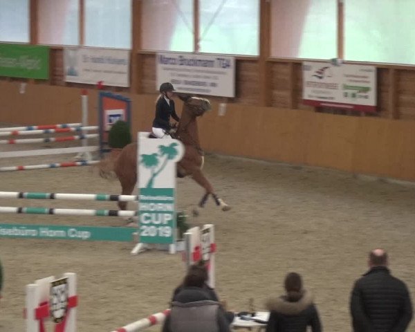 Reitturnier Xanten 2019