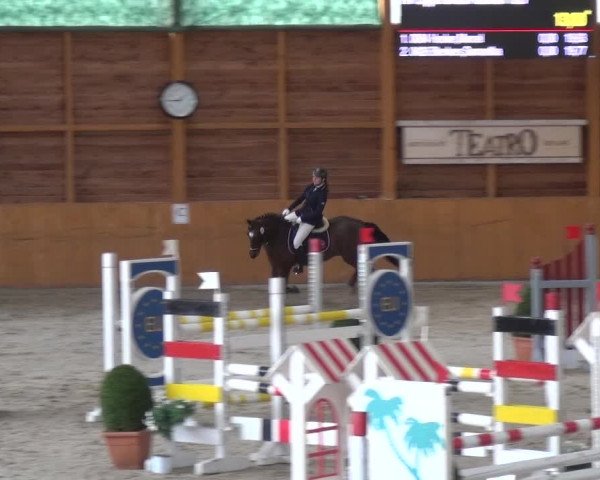 Reitturnier Xanten 2019