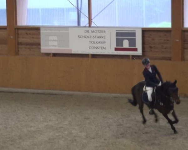 Reitturnier Xanten 2019