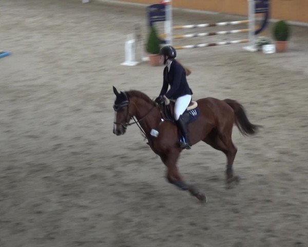 Reitturnier Xanten 2019