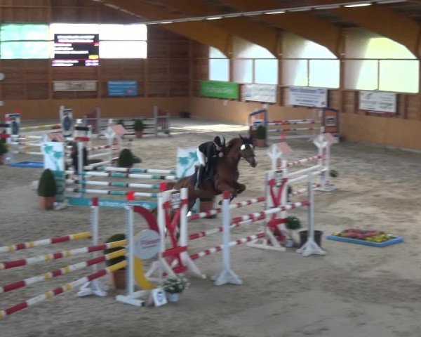 Reitturnier Xanten 2019