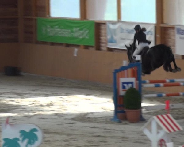 Reitturnier Xanten 2019