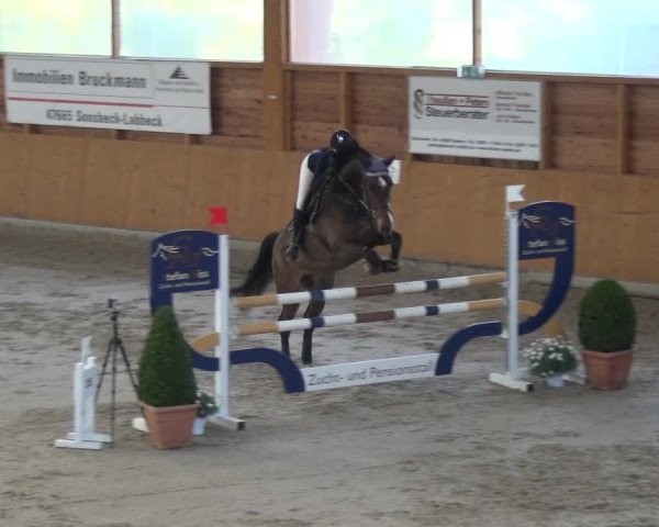 Reitturnier Xanten 2019