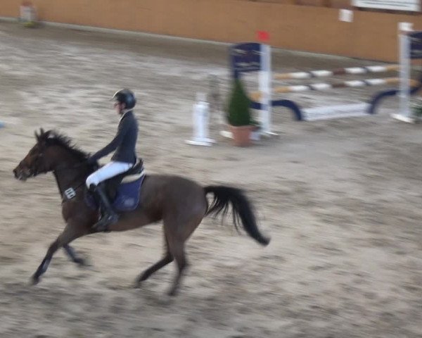 Reitturnier Xanten 2019