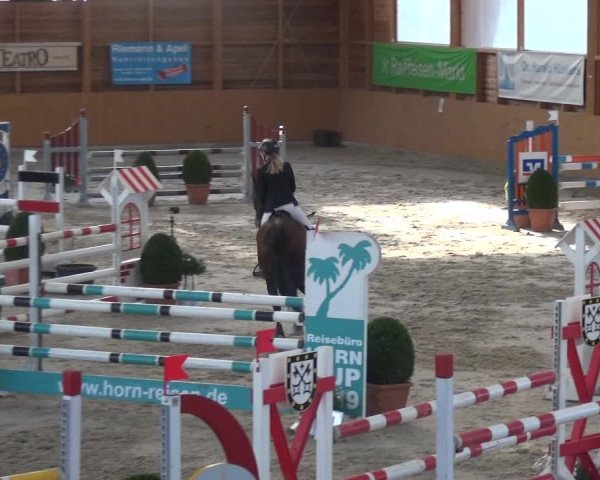 Reitturnier Xanten 2019