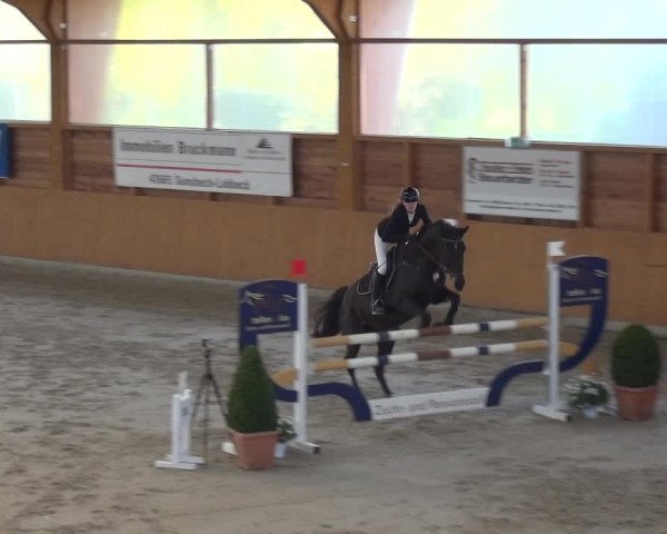 Reitturnier Xanten 2019