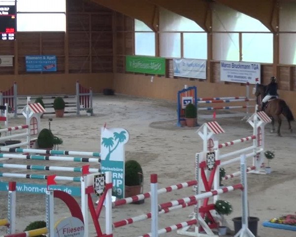 Reitturnier Xanten 2019
