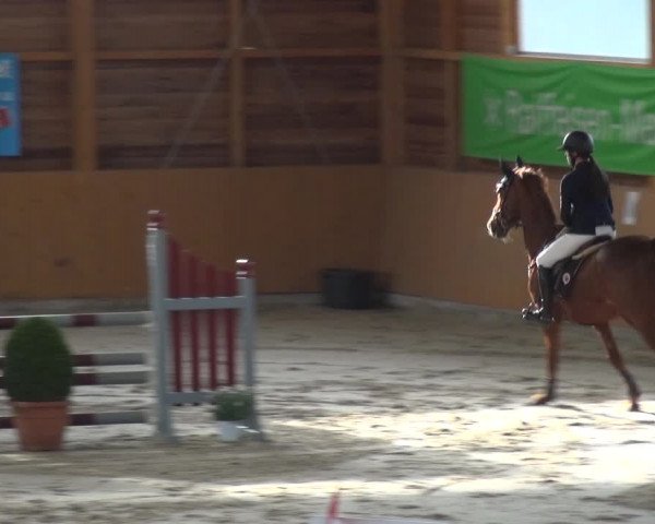 Reitturnier Xanten 2019