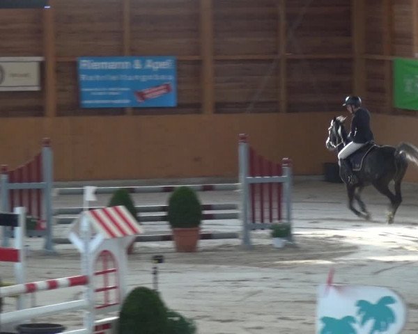 Reitturnier Xanten 2019