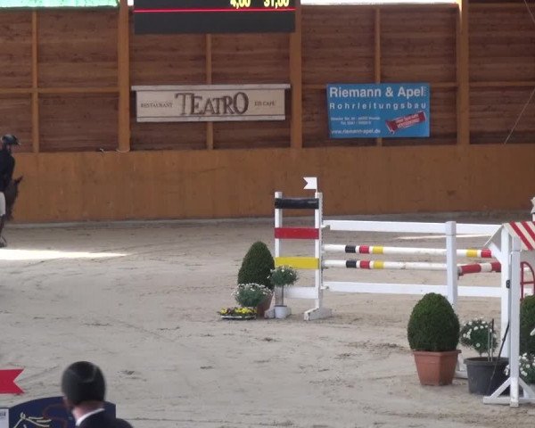 Reitturnier Xanten 2019